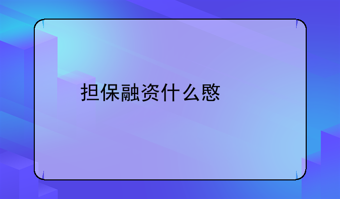 担保融资什么意思