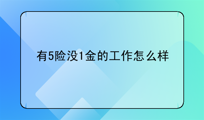 有5险没1金的工作怎么样