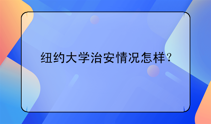纽约大学治安情况怎样？