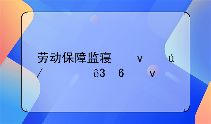 劳动保障监察条例第二十条