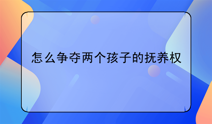 怎么争夺两个孩子的抚养权