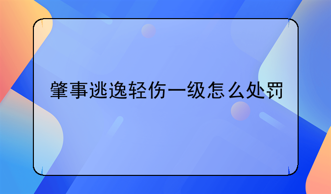 肇事逃逸轻伤一级怎么处罚