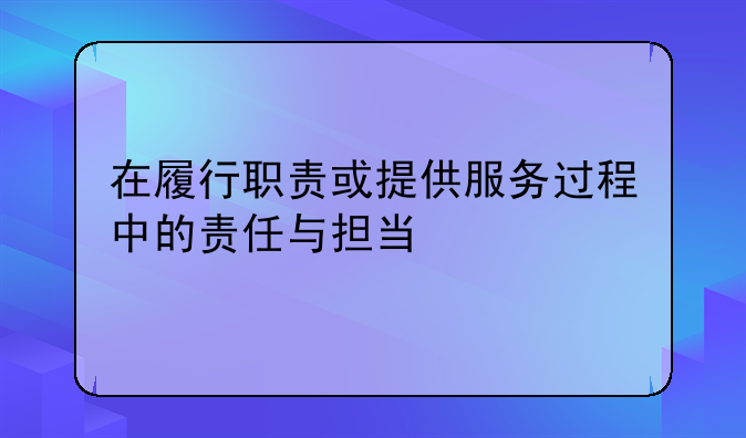 在履行职责或提供服务过程中的责任与担当