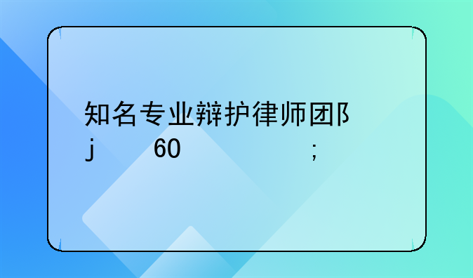 知名专业辩护律师团队的卓越风采