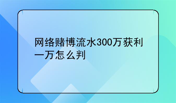 网络赌博流水300万获利一万怎么判