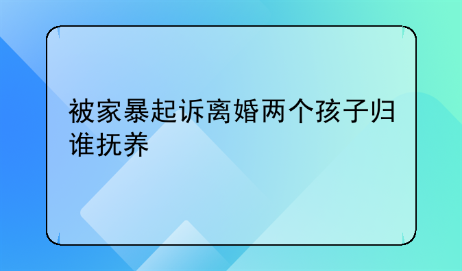 被家暴起诉离婚两个孩子归谁抚养