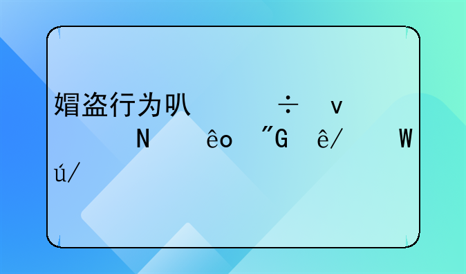 媢盗行为可能面临哪些刑事法律责任