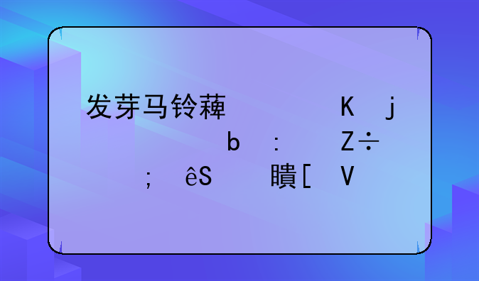 发芽马铃薯中毒的预防措施与应对策略