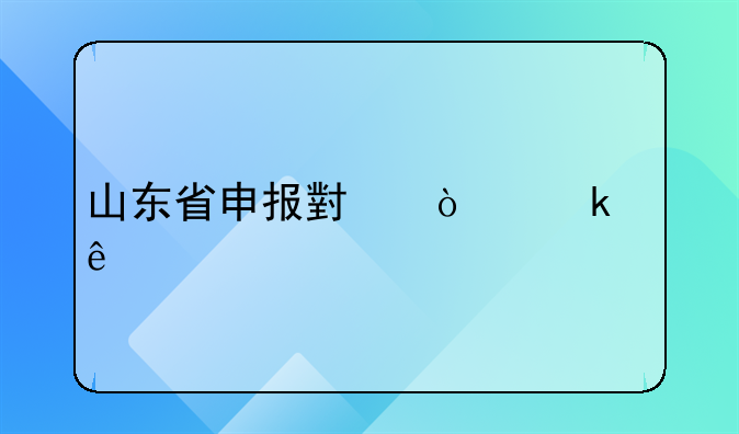 山东省申报小企业个人所得税怎么操作