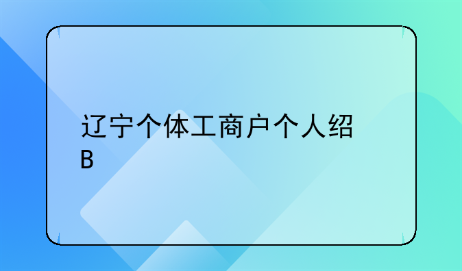 辽宁个体工商户个人经营所得怎么申报