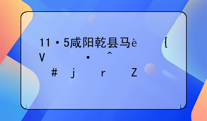 11·5咸阳乾县马连镇灭门惨案的最新情况